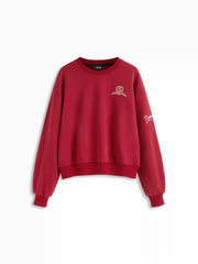Terry Embroidery Round Neckline Long Sleeve Oversized Sweatshirt