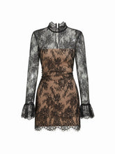 Lace Stand Collar Long Sleeve Straight Mini Dress