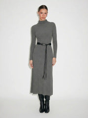 Stand Collar A-line Long Sleeve Maxi Dress