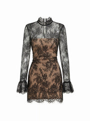 Lace Stand Collar Long Sleeve Straight Mini Dress