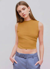 Round Neckline Solid Sleeveless Ruched Crop Top