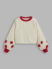 Knitted Round Neckline Strawberry Contrasting Binding Crop Sweater