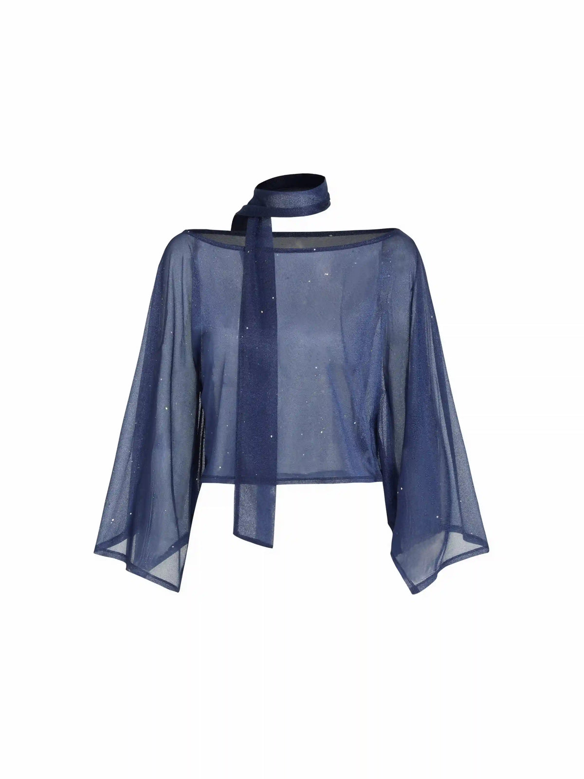 Sheer Glitter Chiffon Boat Neck Top with Scarf